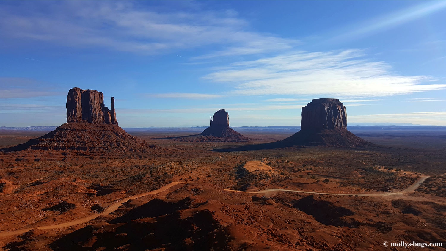 The Monument Valley. Arizona and Utah | Molly's bugs